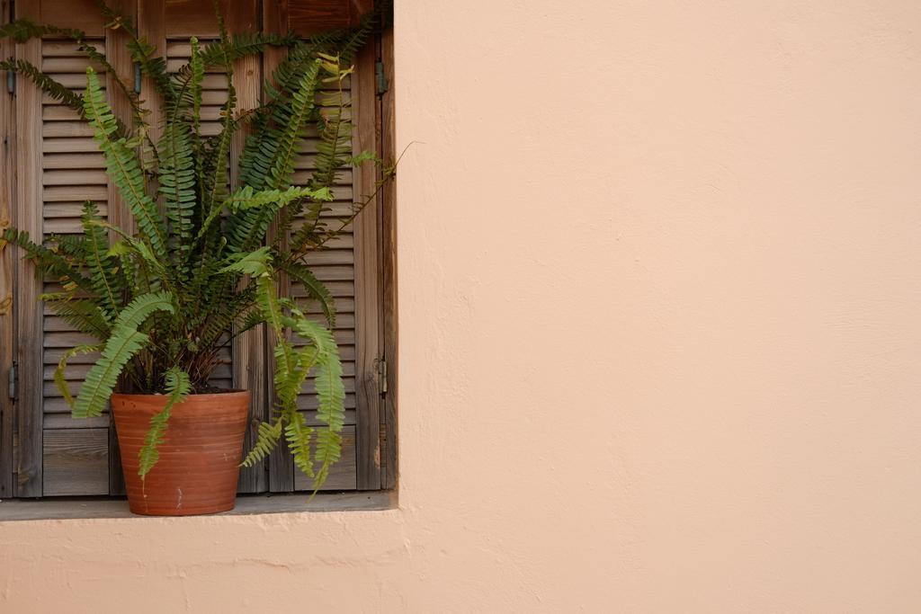 Fivos Pension La Canea Exterior foto